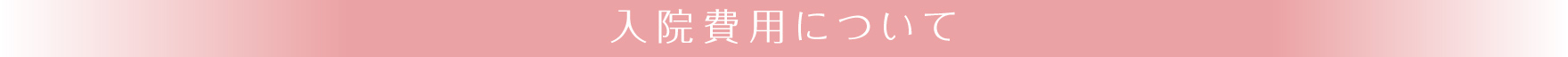 入院費用について